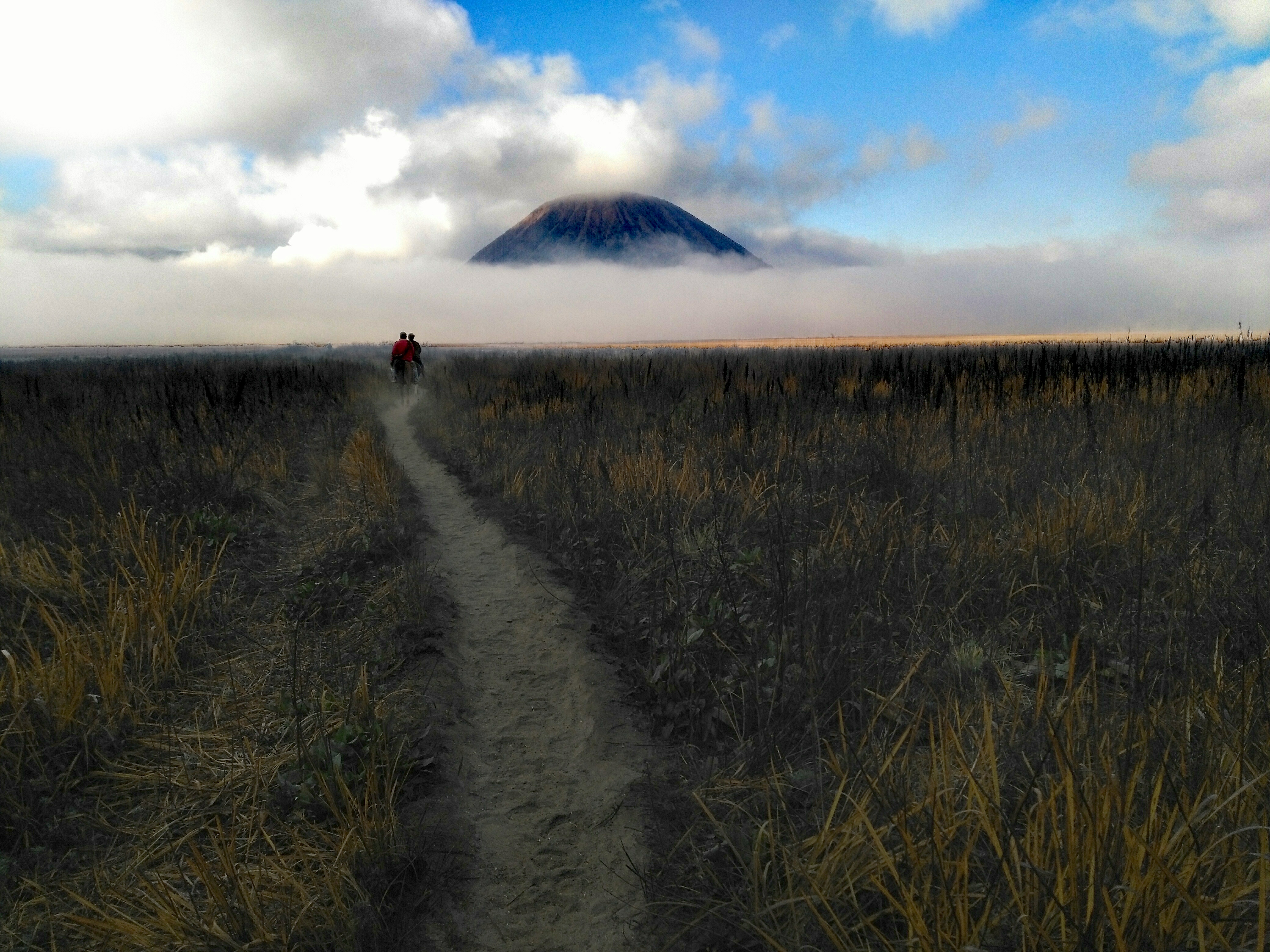 Bromo / Ijen