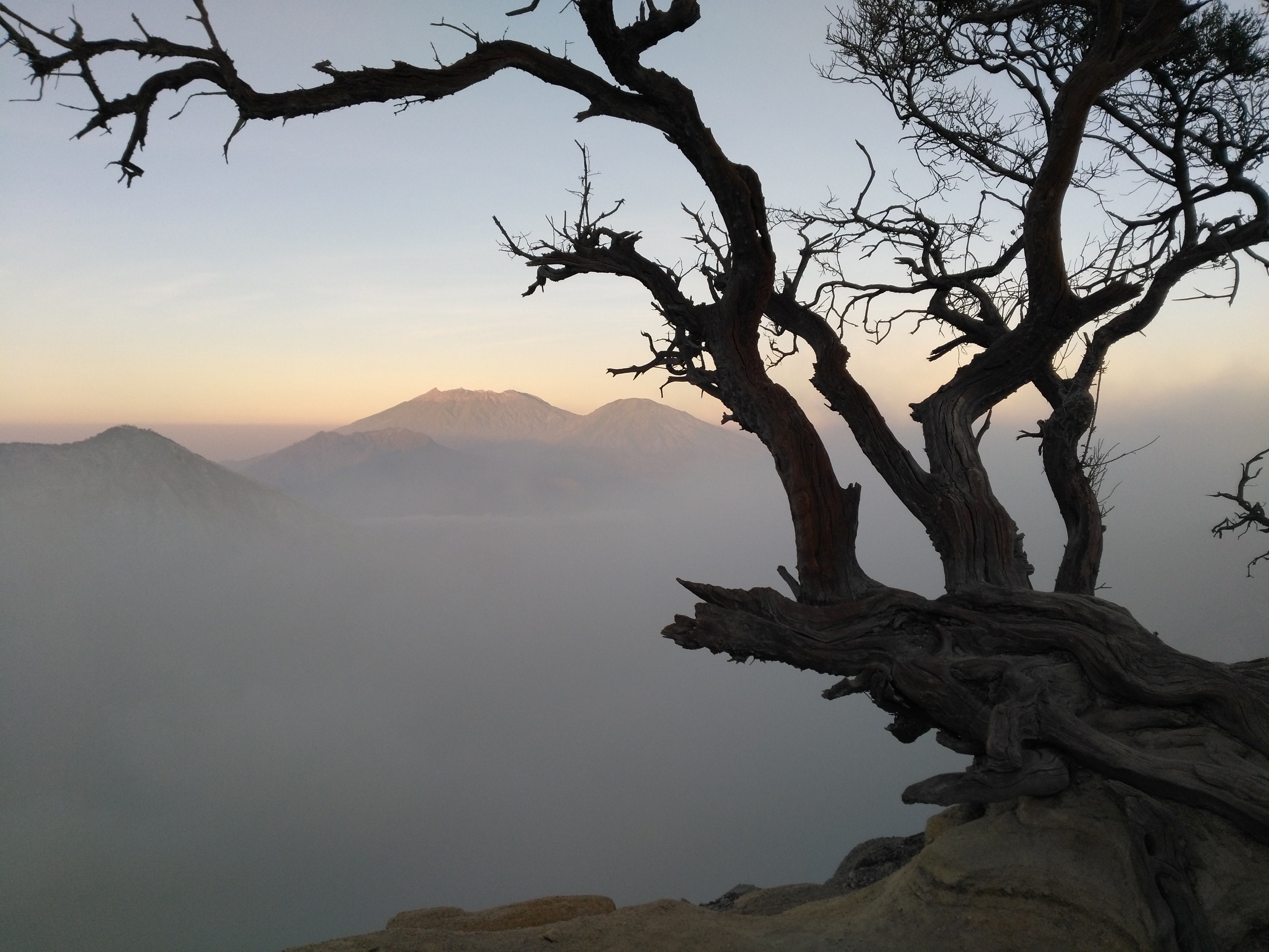 Bromo / Ijen